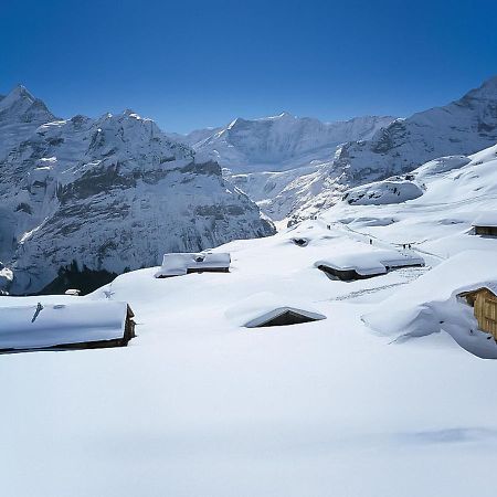 Apartment Chalet Bärgsunna-2 Grindelwald Extérieur photo