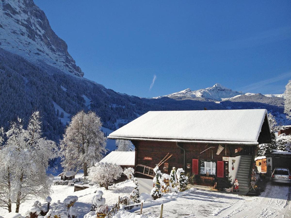 Apartment Chalet Bärgsunna-2 Grindelwald Extérieur photo