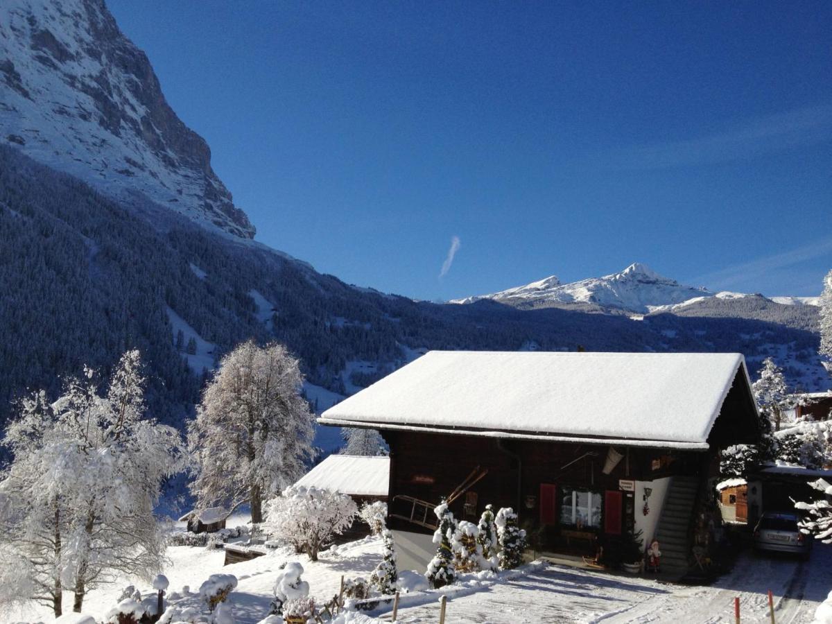 Apartment Chalet Bärgsunna-2 Grindelwald Extérieur photo